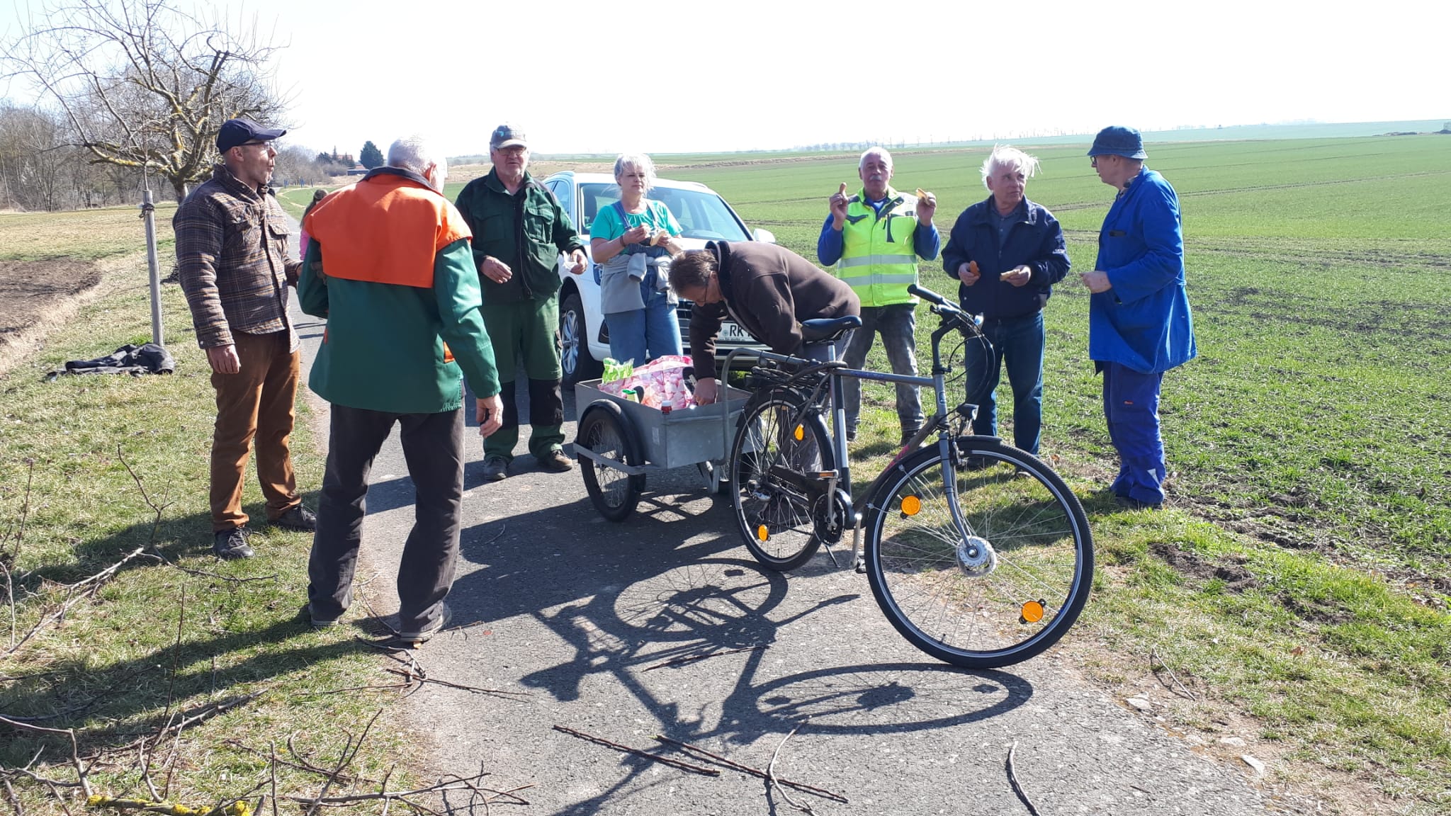 Baumschnitt am Laurawanderweg in Vippachedelhausen